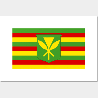 Kanaka Maoli Flag Posters and Art